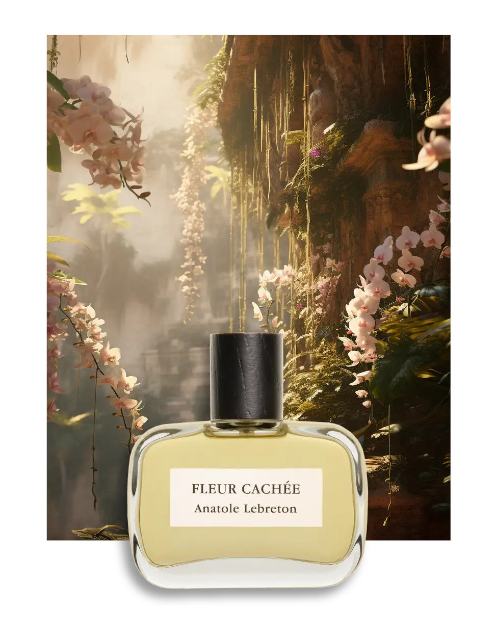 Anatole Lebreton Fleur Cachée