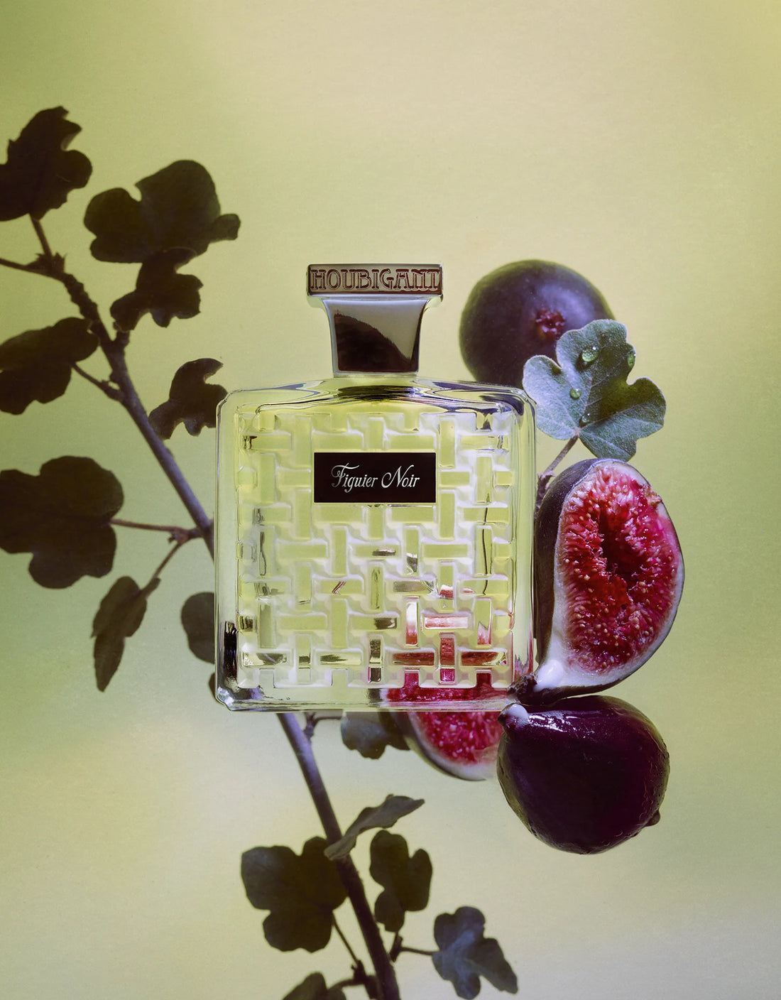 Houbigant Paris Figuier Noir