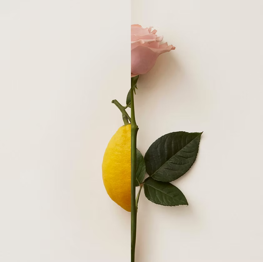 New Notes ROSA LIMONE